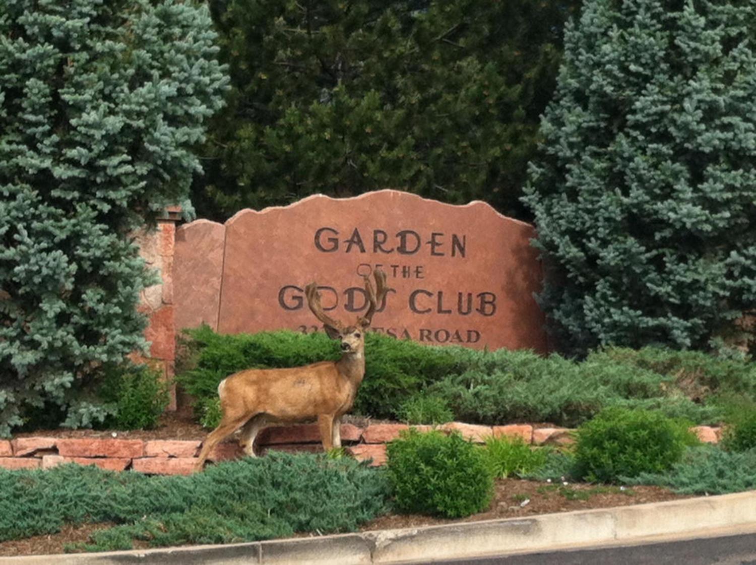 Garden Of The Gods Resort & Club Colorado Springs Bagian luar foto